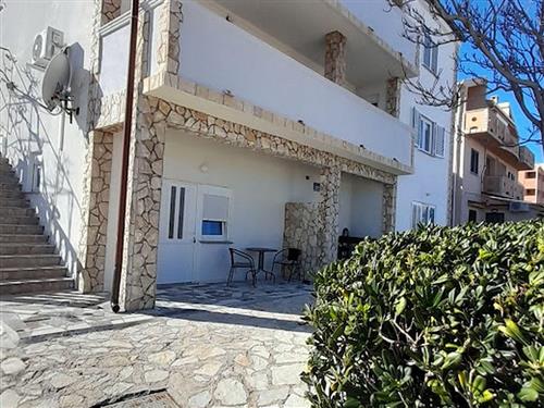Holiday apartment - 6 persons -  - Marina Držica - 23250 - Pag