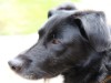 Bild 24
