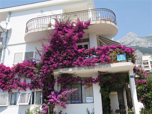 Holiday apartment - 2 persons -  - Makarska - 21300