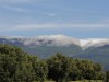 Image 38