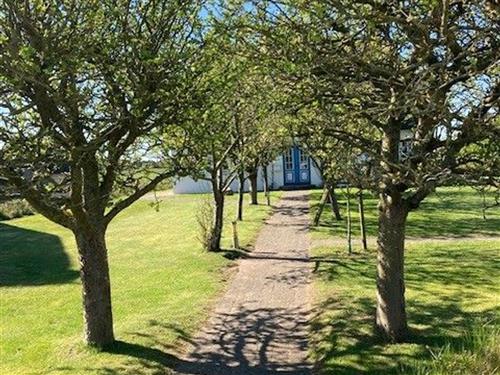 Fritidshus - 5 personer -  - Westerheideweg - 25938 - Nieblum