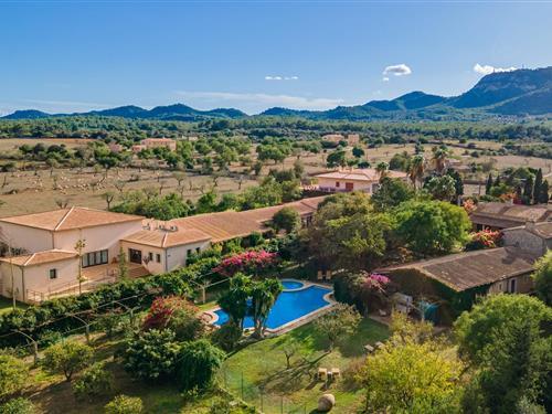 Ferielejlighed - 2 personer -  - Camí d'Almallia - Sa Posada D'aumallia 34, Felanitx - 07209 - Felanitx