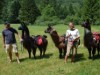 Bilde 32