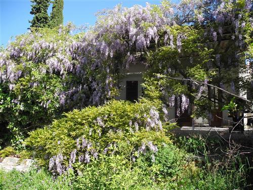 Feriehus - 4 personer -  - Vukovarska ulica - 21220 - Seget Vranjica