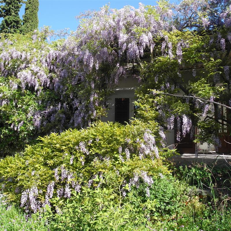 Sommerhus - 4 personer -  - Vukovarska ulica - 21220 - Seget Vranjica