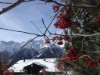 Bild 5 - Ude