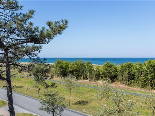 Ferielejlighed - 5 personer -  - Schifferberg - 18347 - Ostseebad Ahrenshoop