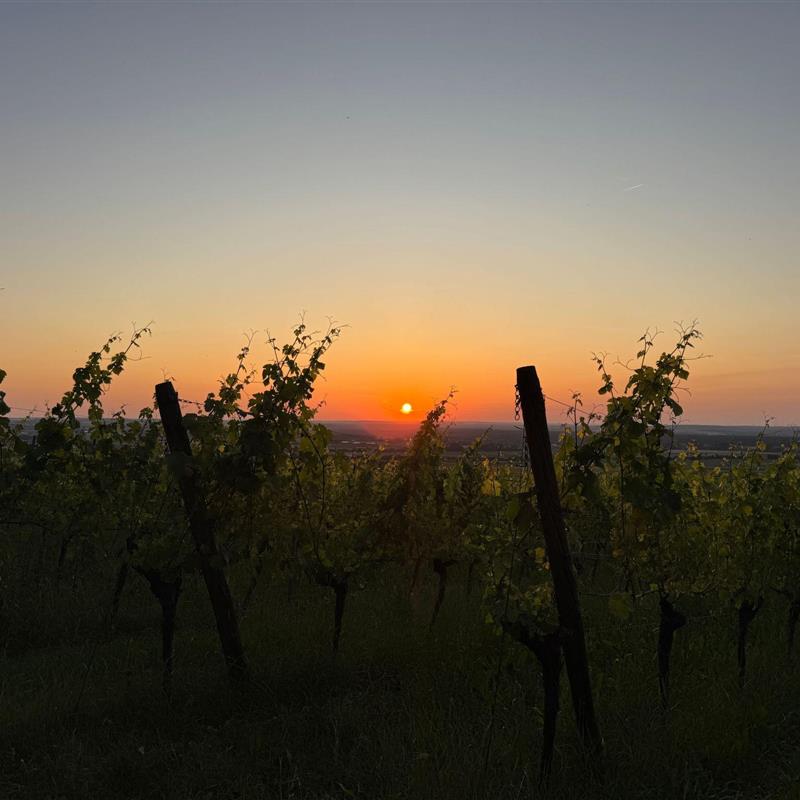 Ferielejlighed - 4 personer -  - Kitzingen - 97318