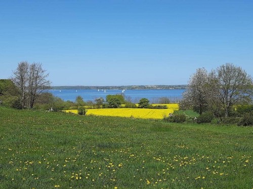 Sommerhus - 2 personer -  - 24977 - Westerholz