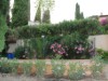 Image 36