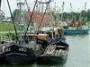 Billede 38