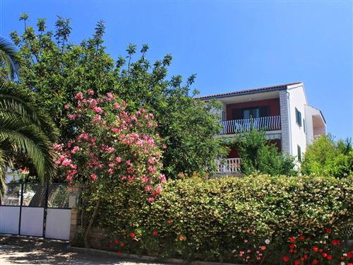 Holiday apartment - 5 persons -  - Lovište - 20269 - Loviste
