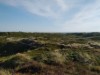 Billede 27