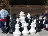 Bild 17