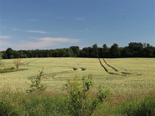 Semesterhus/Semesterlägenhet - 4 personer -  - drei Ferienquartiere umgeben von Feldern, Wäldern und  Seen - 18292 - Hinzenhagen