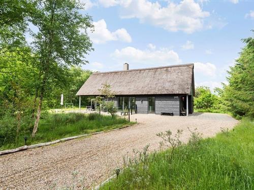 Ferienhaus - 6 Personen -  - Nørrevang - Houstrup - 6830 - Nr. Nebel