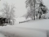 Bild 23 - Ude
