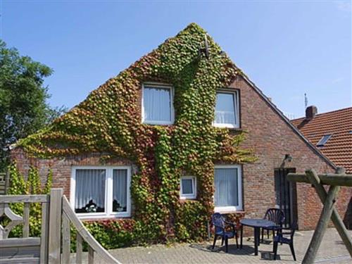 Holiday apartment - 5 persons -  - Alter Sielweg - 26427 - Bensersiel