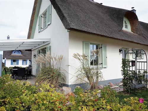 Sommerhus - 5 personer -  - De Poeler Drift - 23968 - Zierow