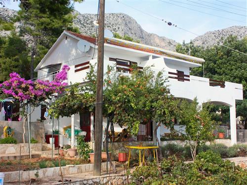 Ferieleilighet - 4 personer -  - Ivan Dolac - 21465 - Jelsa