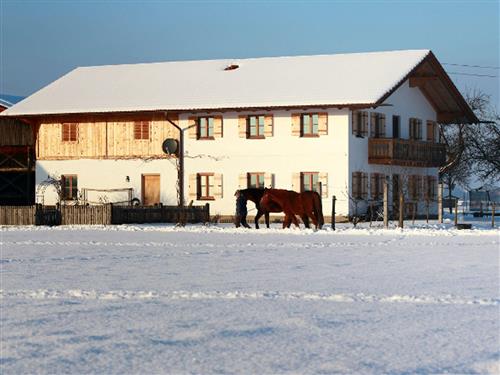 Bauernhof - 6 persons -  - Kobel - 83135 - Schechen