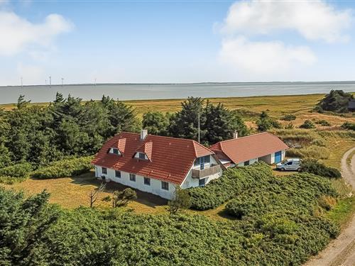 Ferienhaus - 12 Personen -  - Engvej - 7673 - Harboöre