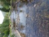 Bild 46 - Ude