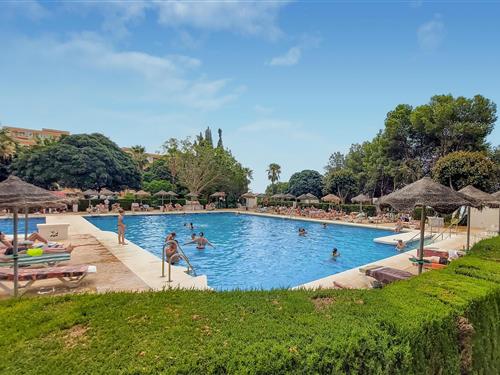 Holiday apartment - 2 persons -  - Av. Gamonal - 29630 - Benalmadena