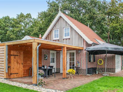 Feriehus - 6 personer -  - Boomsweg - 7645 AA - Hoge Hexel