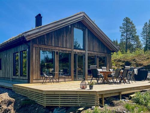 Feriehus - 11 personer -  - Småliane Aust - Vinje/Øyfjell - 3890 - Vinje