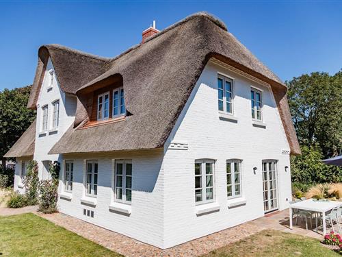 Feriehus - 6 personer -  - Kertelheinallee - 25938 - Nieblum