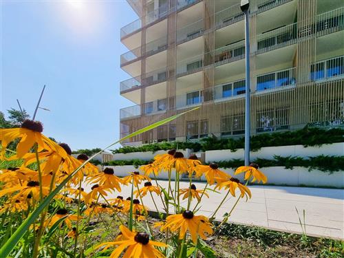 Ferielejlighed - 6 personer -  - Zeromskiego - 72-600 - Swinoujscie-Swinemünde