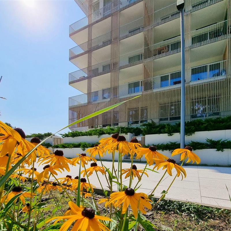 Ferielejlighed - 6 personer -  - Zeromskiego - 72-600 - Swinoujscie-Swinemünde