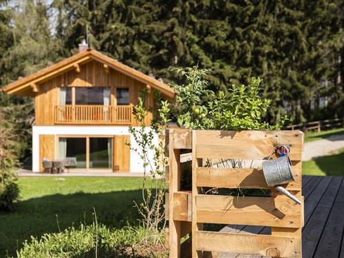 Chalet - 8 personer -  - 5580 - Wölting