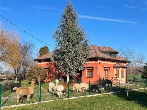 Sommerhus - 10 personer -  - Ulica kneza Domagoja - 32271 - Andrijaševci