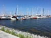 Billede 26