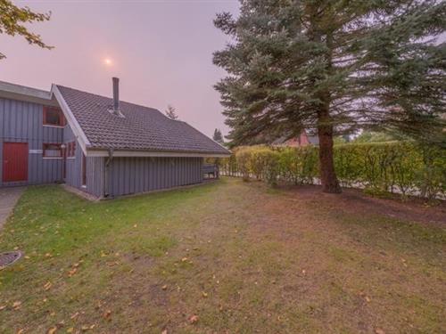 Sommerhus - 6 personer -  - Walter-Gotsmann-Straße - 17252 - Mirow