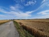 Bilde 35 - Ude