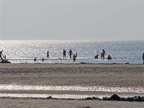 Feriehus / leilighet - 6 personer -  - Strandweg - 25826 - St. Peter-Ording