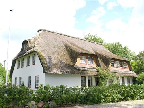 Ferienwohnung - 2 Personen -  - Mühlendeich - 25836 - Vollerwiek