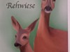 Bild 17