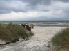 Bild 18