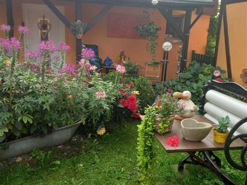 Ferienhaus - 4 Personen -  - Katenweg - 18311 - Ribnitz-Damgarten / Klock