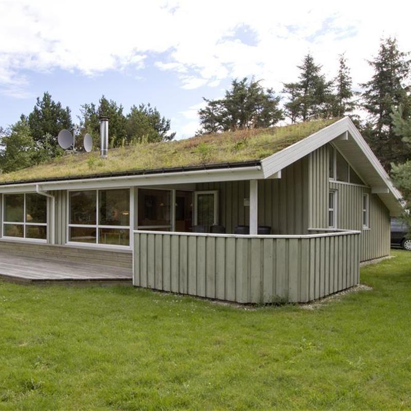 Ferienhaus - 6 Personen -  - Ørnebjergvej - 9493 - Saltum