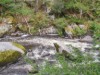 Image 13