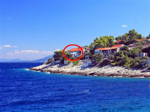 Holiday apartment - 4 persons -  - Prigradica - 20271 - Blato