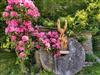 Bild 26 - Aussen