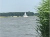 Billede 36