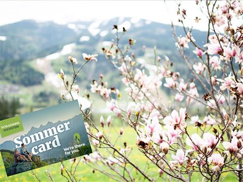 Semesterlägenhet - 4 personer -  - Weißenbach - 8967 - Haus Im Ennstal