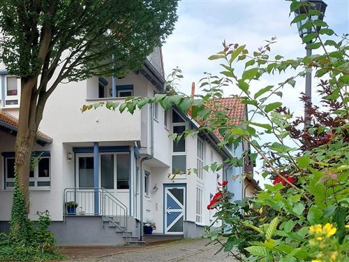 Semesterlägenhet - 2 personer -  - Zehntgasse - 97941 - Tauberbischofsheim